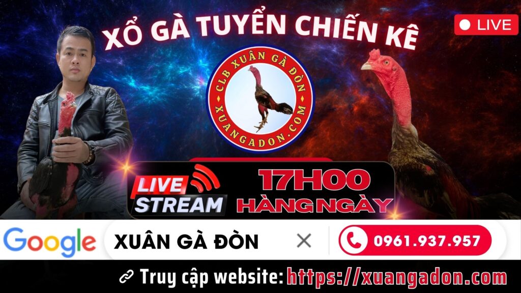 Video 18h32 ngày 21/9 – CLB Xuân Gà Đòn – Quảng Ngãi